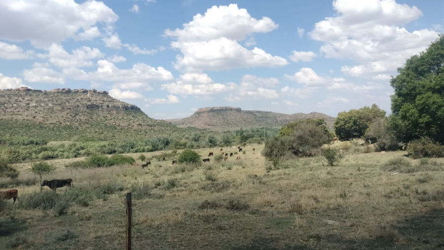 2 Bedroom Property for Sale in Ladybrand Free State
